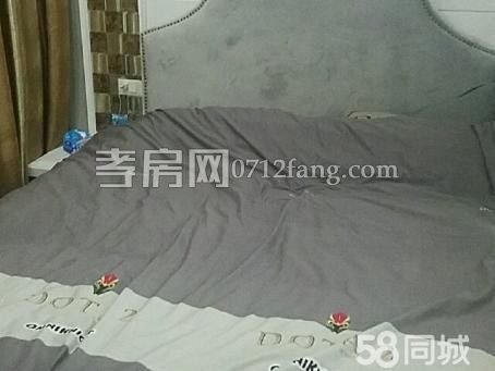 D364??銅鑼灣 一室一廳一衛(wèi) 14/32?豪裝?家具家電齊拎包住