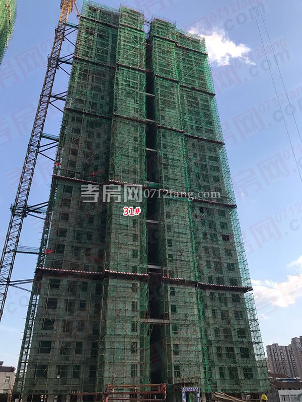 2017051016305623390a9wzpu.jpg 5.jpg