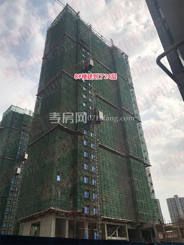 2017051017334240464lxybxh.jpg 4.jpg