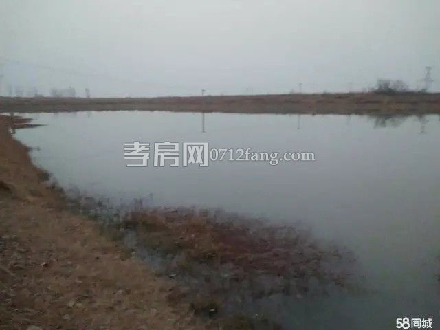 孝感安陸~ 棟私房~400平 8萬元~急賣~急賣