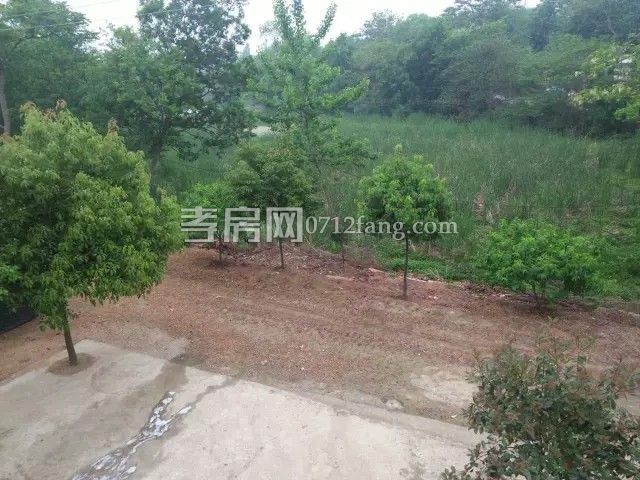 孝感安陸~ 棟私房~400平 8萬元~急賣~急賣