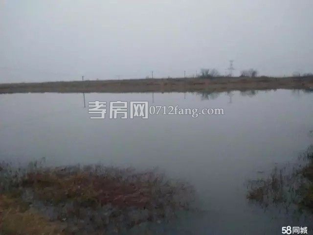 孝感安陸~ 棟私房~400平 8萬元~急賣~急賣