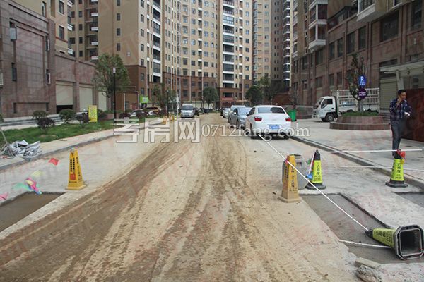 2017051116074841728ccwxff.jpg 3.jpg