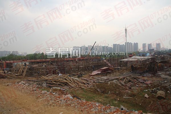 2017051116083233250tcnlru.jpg 6.jpg