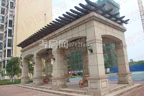 2017051717003949960coixbo.jpg 3.jpg