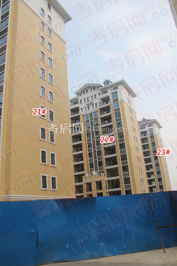 2017051717005244536ydkjuk.jpg 4.jpg