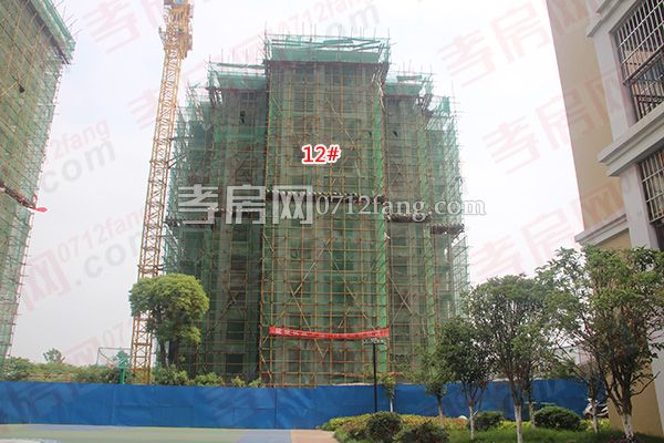 20170517170103845639n89f8.jpg 5.jpg