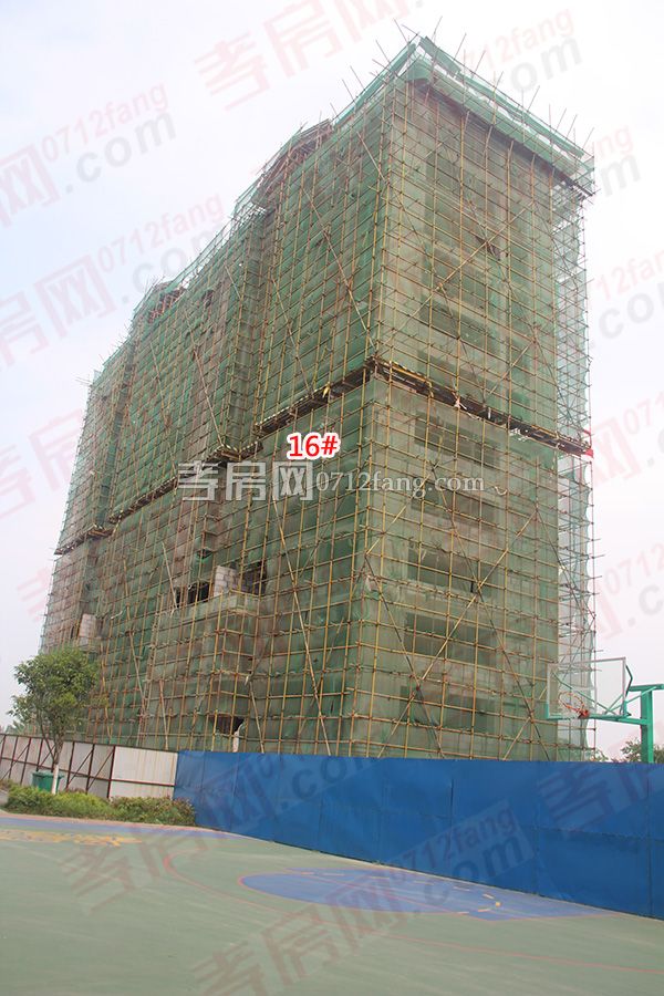 2017051717011431448ukv7qg.jpg 6.jpg