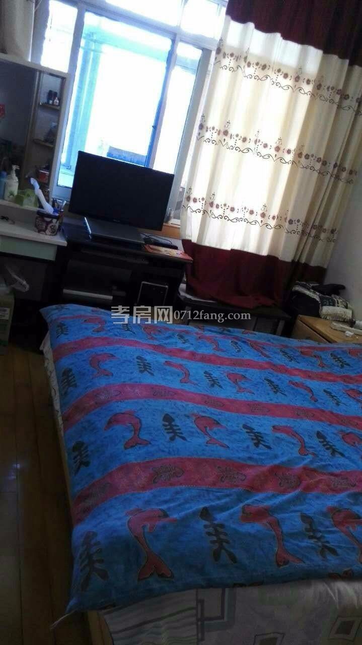 憩園小區(qū)小戶(hù)型價(jià)格便宜