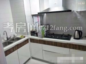 濱湖天地家電齊全拎包入住