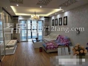 濱湖天地家電齊全拎包入住