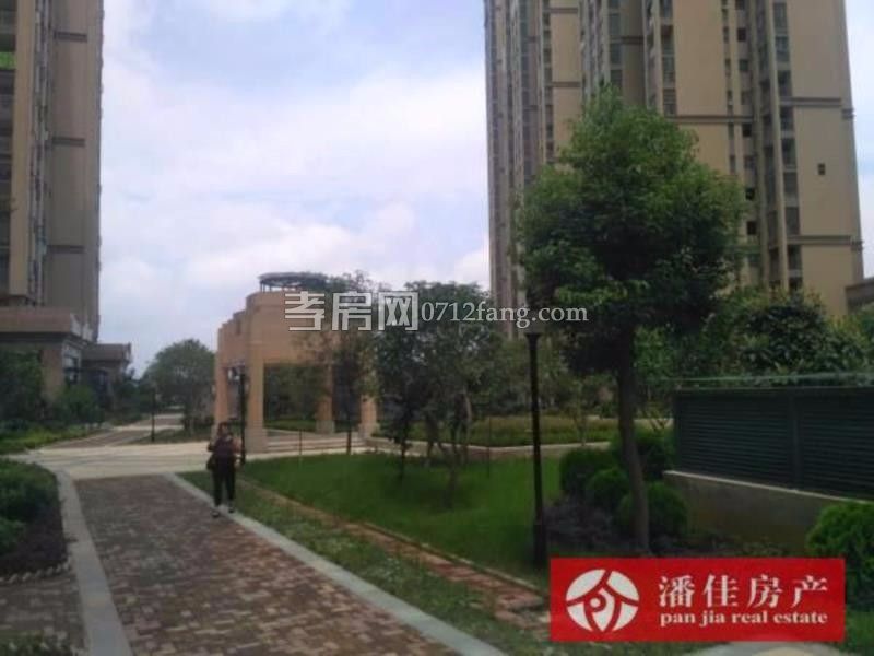 濱湖天地菊苑3室2廳2衛(wèi)114平毛坯觀景高層