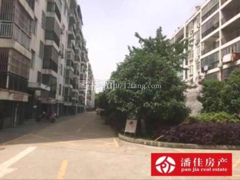 滿二掛口有證出讓地2室2廳1衛(wèi)毛坯111平2600元一平4樓