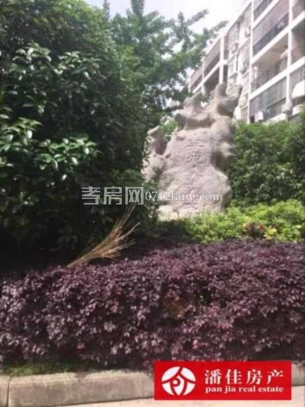 滿二掛口有證出讓地2室2廳1衛(wèi)毛坯111平2600元一平4樓