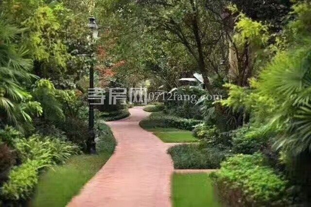 東城區(qū)精裝好房出售