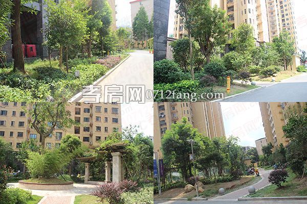 20170728162914802661jxqqi.jpg 2017070610530616624r6rnuk.jpg