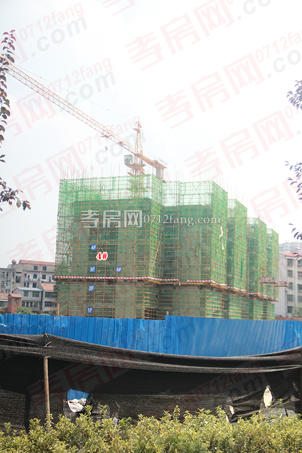 2017072816305085261dltltg.png 1.png