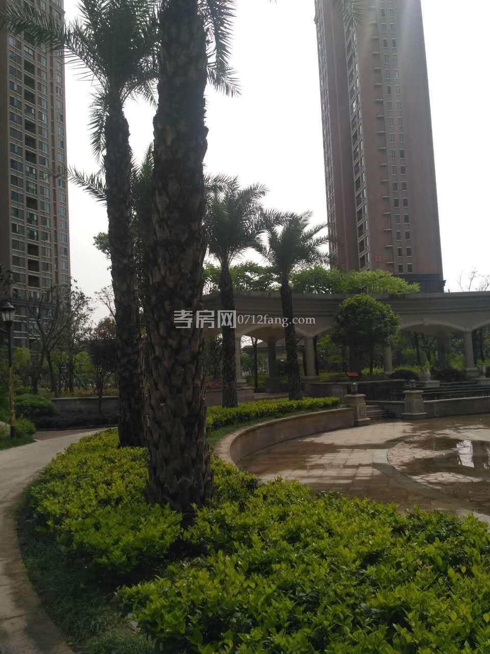 鼎觀世界3室2廳1衛(wèi)98平精裝修準(zhǔn)新房中間樓層