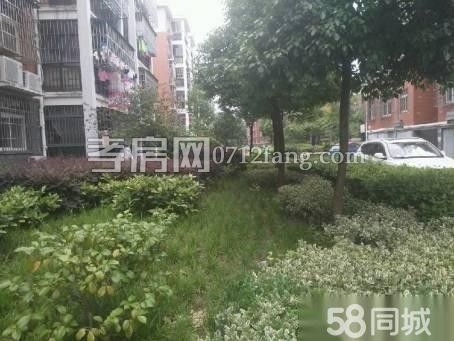 水木清華低價誠意出售，不跳價，可小刀！