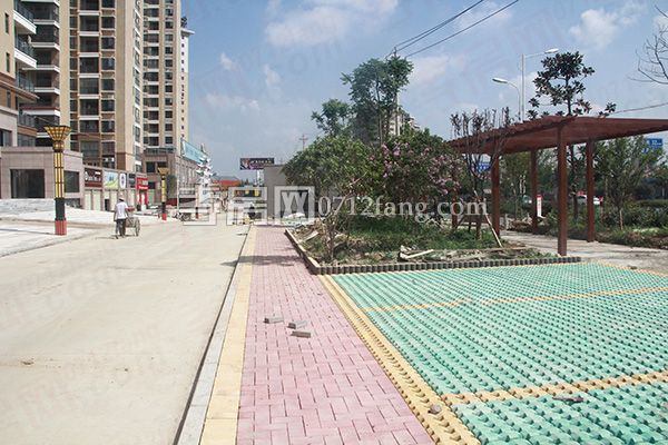 2017082409322711457nwiwwk.jpg 綠化.jpg