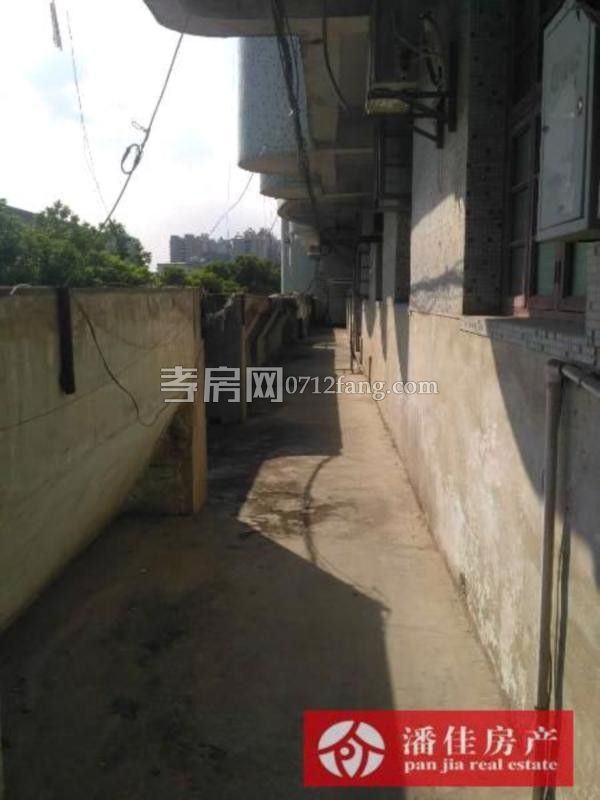 給小孩一個未來實小文昌 電信小區(qū)3室2廳1衛(wèi)101平