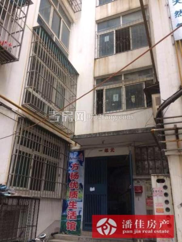 給小孩一個未來實小文昌 電信小區(qū)3室2廳1衛(wèi)101平