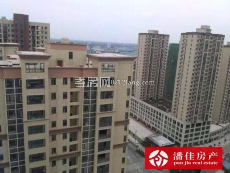 送入戶花園！中建國際一期中層114南北通透