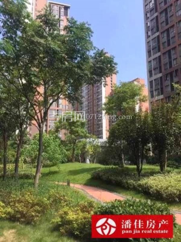 滿二掛口街131平中等裝修三面采光5樓拎包入住