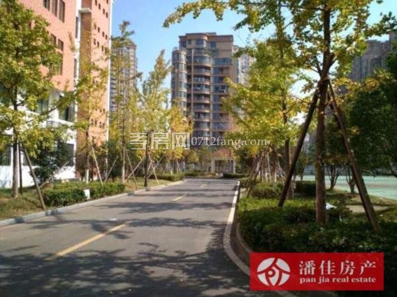 滿二掛口街131平中等裝修三面采光5樓拎包入住