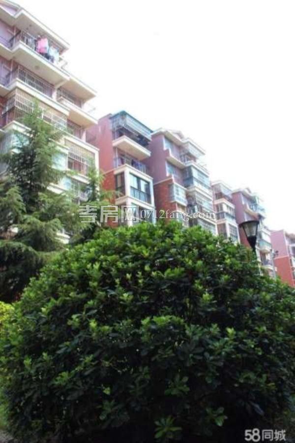 滿兩年濱湖天地蘭苑4室2廳2衛(wèi)2陽臺南北通透采光好