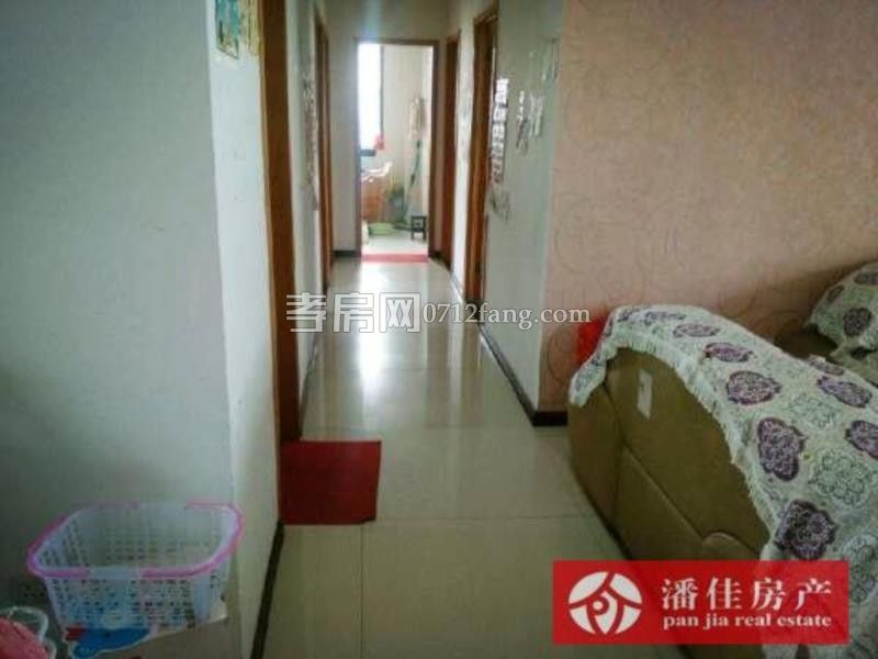 滿二宇濟(jì)商貿(mào)城100平精裝修文化路 楚環(huán)中學(xué)3樓