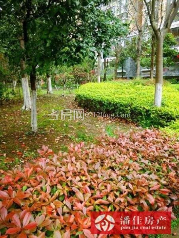 滿二宇濟(jì)商貿(mào)城100平精裝修文化路 楚環(huán)中學(xué)3樓