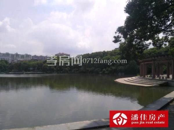 滿二掛口街131平中等裝修三面采光5樓拎包入住