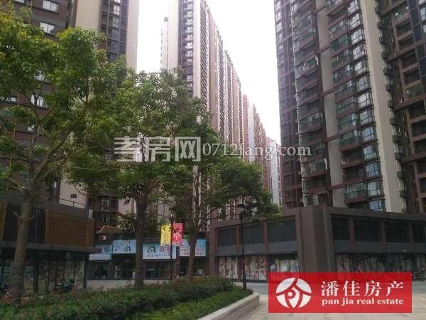 北京二路玉泉 南门对面146平毛坯证满税低