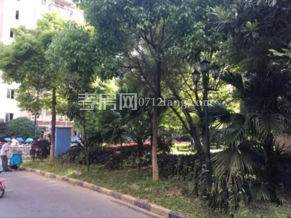 滿二宇濟(jì)商貿(mào)城100平精裝修文化路 楚環(huán)中學(xué)3樓