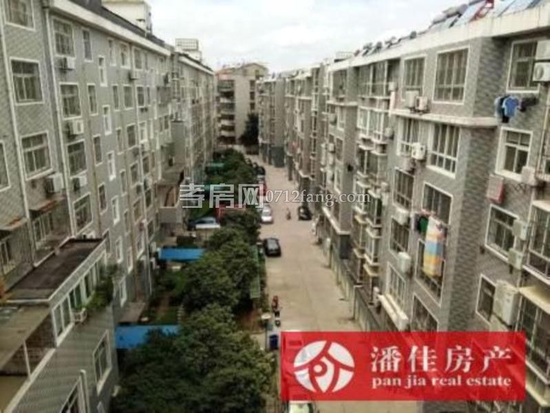 濱湖天地菊苑3室2廳2衛(wèi)114平毛坯觀景高層