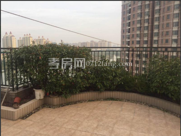 乾坤阳光电梯复式楼