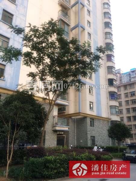 【潘佳房產(chǎn)推薦】【滿五 全洲國際北區(qū)132平米精裝11樓78萬】