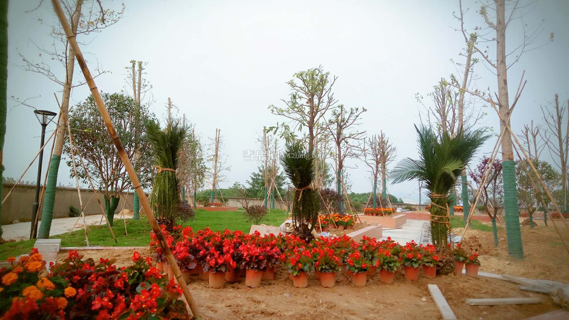 惠園陽(yáng)光實(shí)景圖