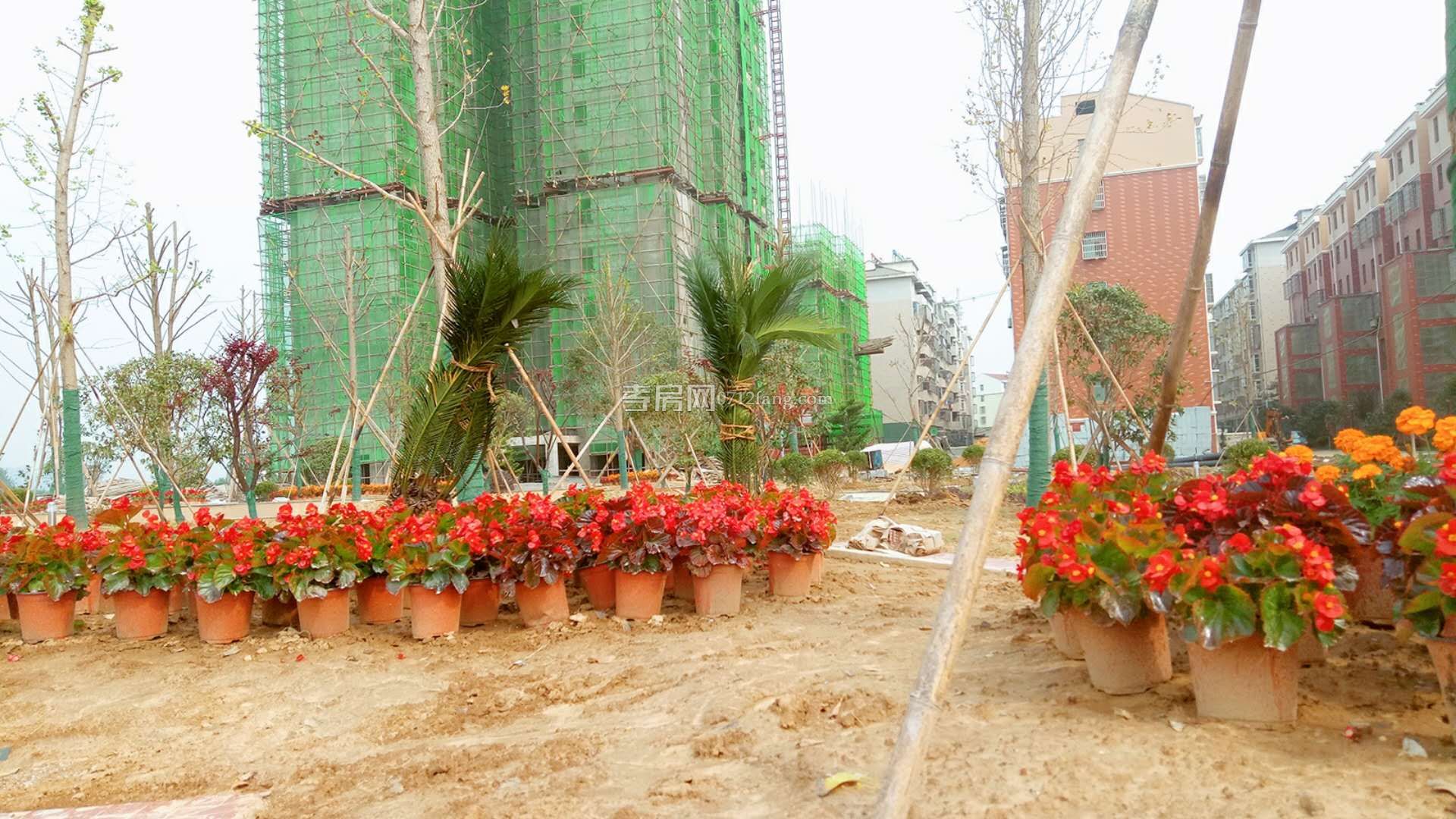 小區(qū)實(shí)景