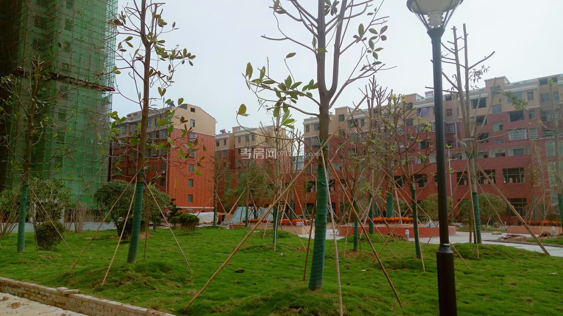 小區(qū)實(shí)景