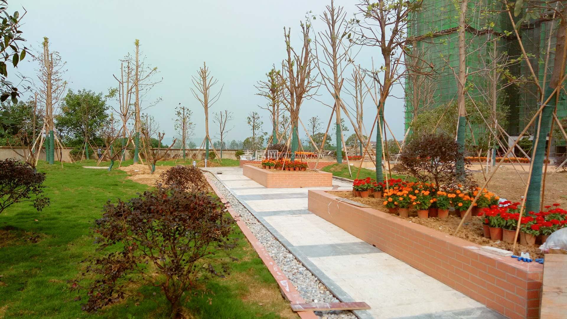 小區(qū)實(shí)景