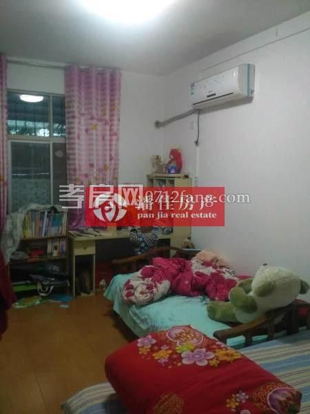 玉泉路预购从速