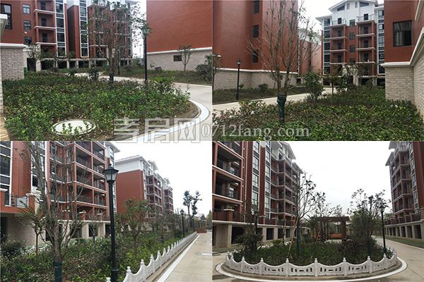 201711141731258084763oeeo.jpg 未標(biāo)題-3.jpg