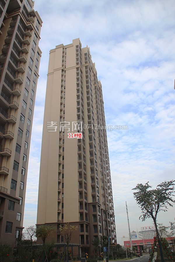 2017112312053538738f3nvsi.jpg 11#.jpg