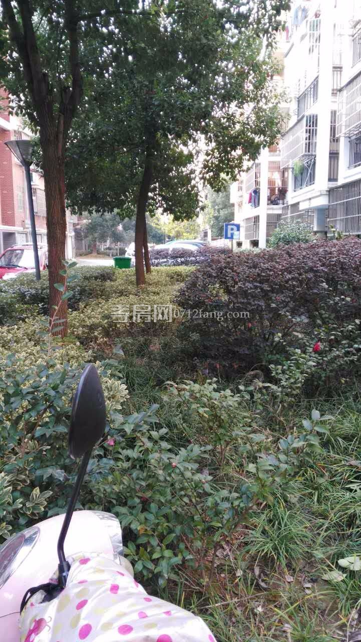 水木清華簡裝房3室3/6樓53萬