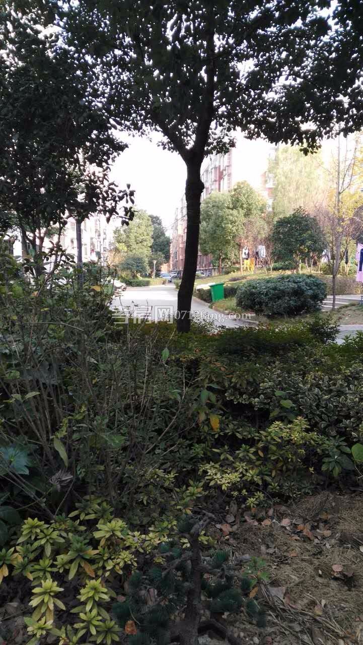 水木清華簡裝房3室3/6樓53萬