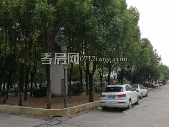 春潮花園精裝房2室2廳