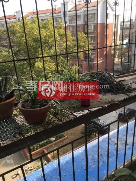 雙 小天橋附件單位房126平米52萬