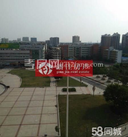 雙 小天橋附件單位房126平米52萬